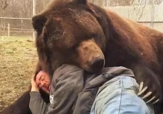 母熊见猎枪不敢攻击，猎人见小熊也不忍开枪