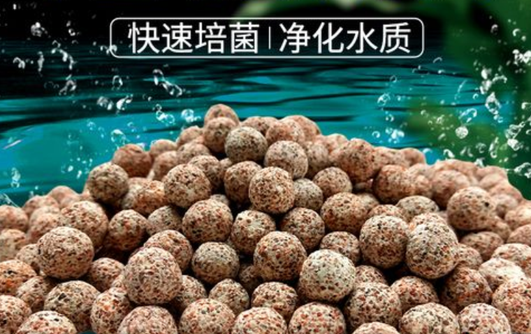 反硝化菌的作用是干什么的 反硝化菌的作用是干什么的