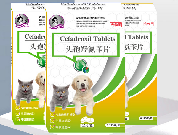 小狗受伤吃什么消炎药