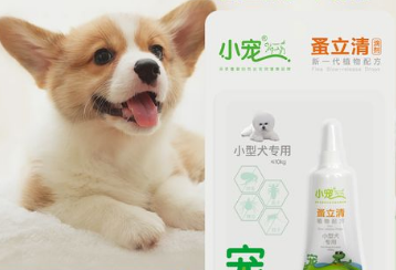 怎么给狗狗驱虫体外驱虫