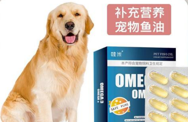 狗狗可以吃深海鱼油吗