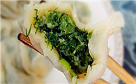 狗能吃茴香饺子吗?小编回答如下