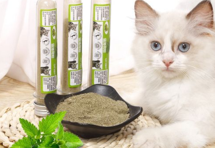猫草粉怎么用