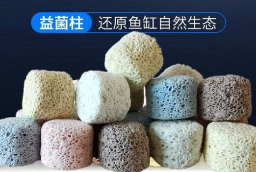 什么是硝化菌 什么是硝化菌