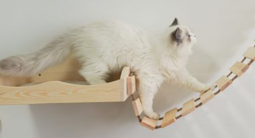 猫爬架买什么样的 猫爬架买什么样的