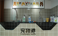 宠物店供应商有哪些