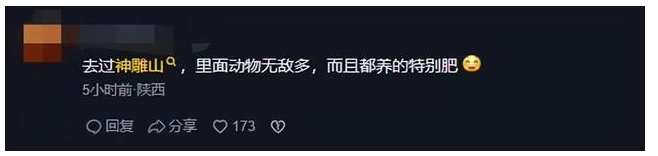 白狐胖成煤气罐是为御寒