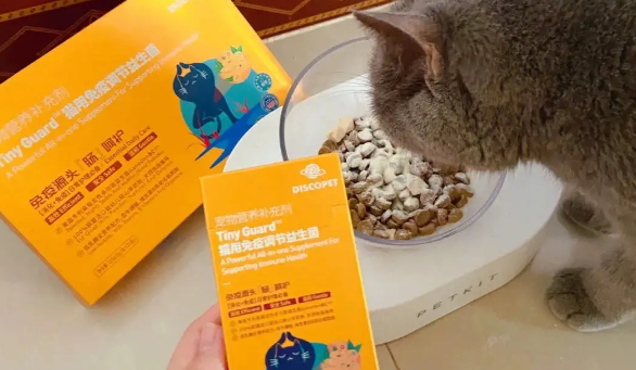 宠物猫益生菌怎么吃 宠物猫益生菌怎么吃