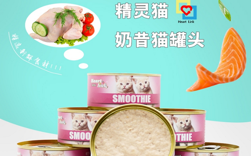 精灵猫