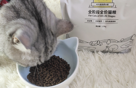 猫粮牌子多久换一次？一定要知道