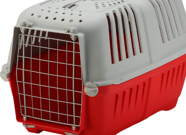 机场的猫咪航空箱多少钱 机场的猫咪航空箱多少钱