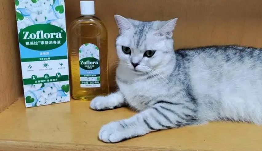 宠物消毒液十大排行榜