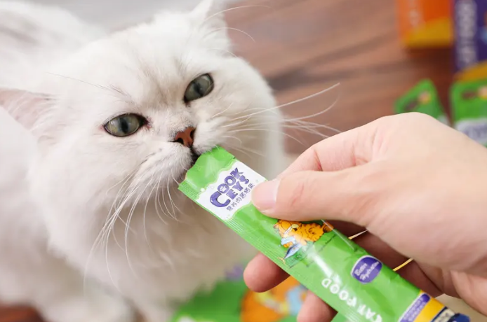 猫条多少钱一条