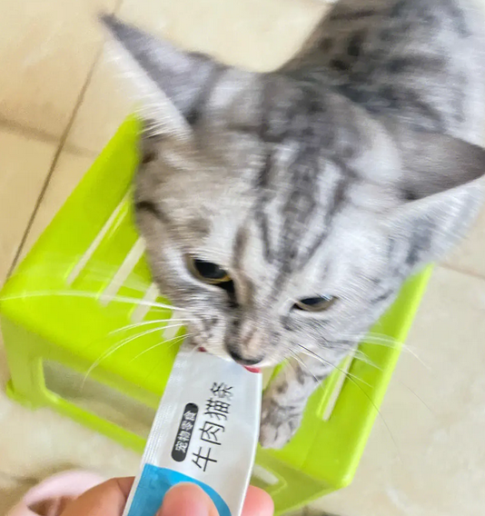猫条可以多吃吗 猫条可以多吃吗