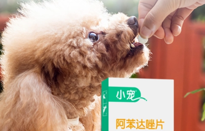 小狗怎么做体内驱虫