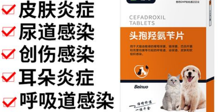 狗狗被咬伤用什么消炎药最好 狗狗被咬伤用什么消炎药最好
