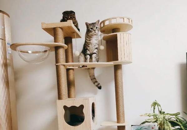 猫爬架哪个牌子好