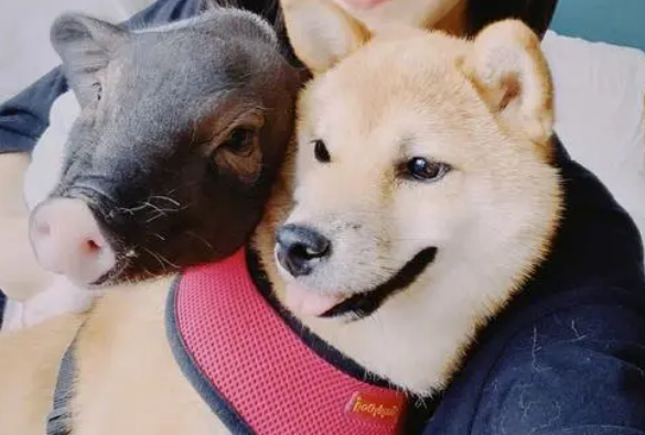 博主怎么赚钱