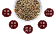 龟粮与鱼粮的区别