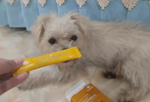 狗狗益生菌怎么吃了