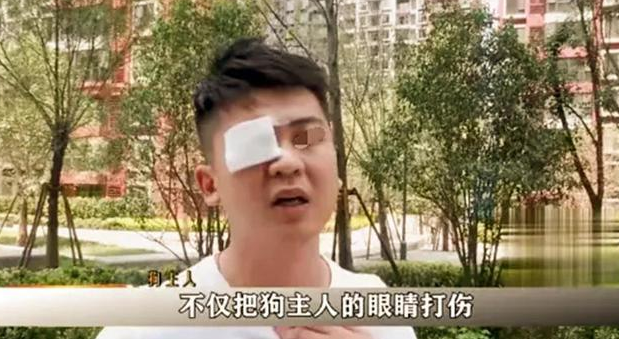 4岁女孩被三只狗围攻，父亲找狗主人理论，双方大打出手
