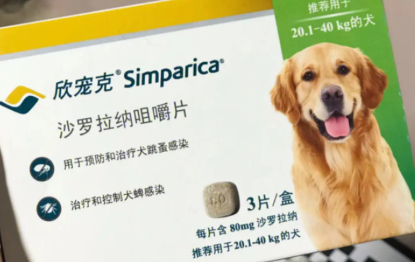 宠物犬如何驱虫