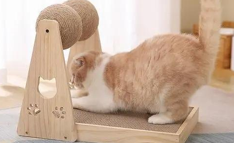 怎么让猫咪用猫抓板 怎么让猫咪用猫抓板