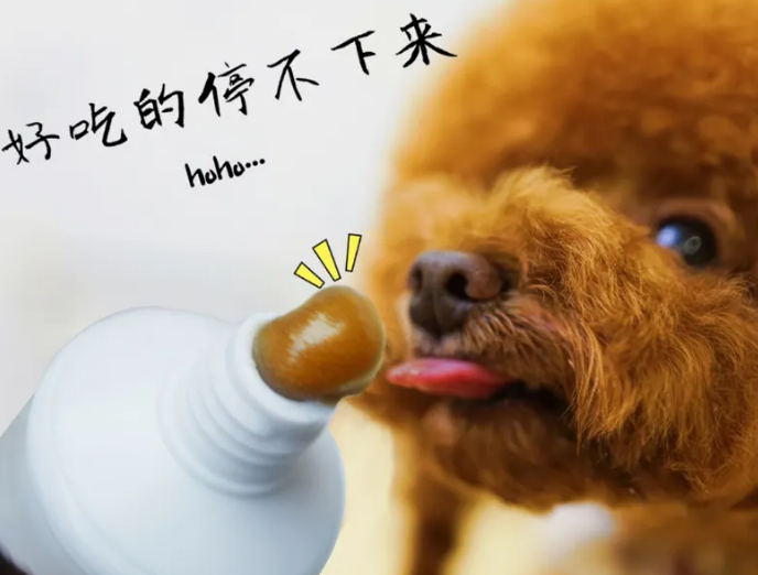 狗狗喂营养膏好不好