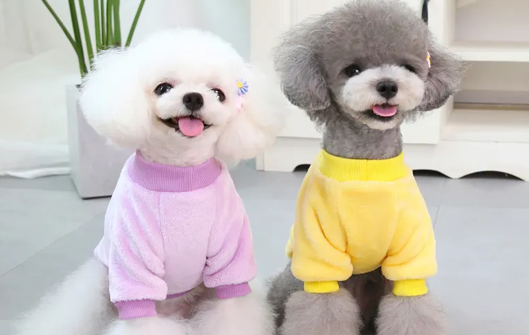 狗用品品牌