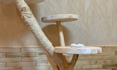 什么牌子的猫爬架 什么牌子的猫爬架