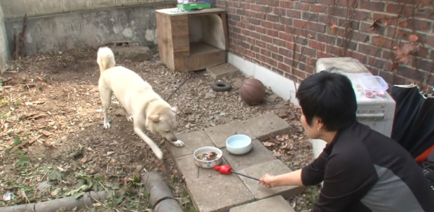 狗狗将主人赶出家门,还把训犬师吓得摔门而出 狗狗将主人赶出家门,还把训犬师吓得摔门而出