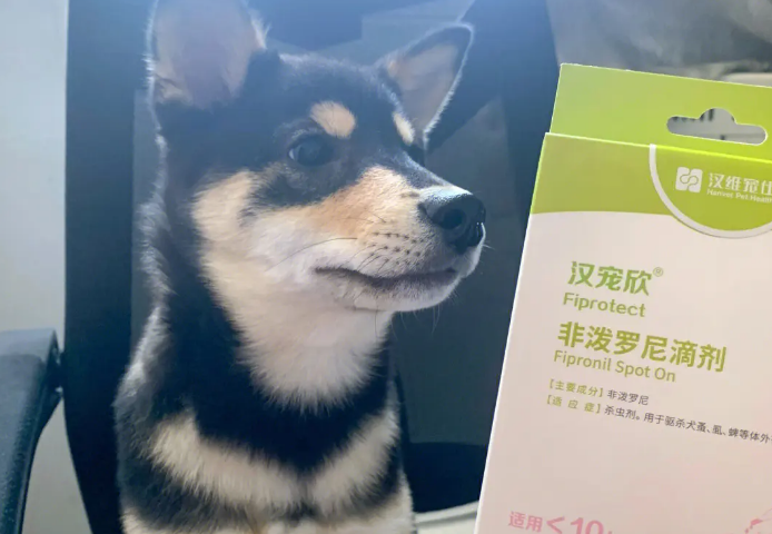 狗体外驱虫滴多了会怎么样