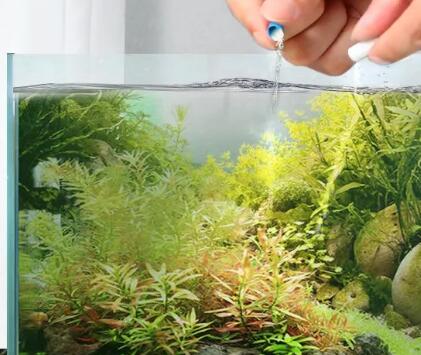 净化鱼缸水用什么药 净化鱼缸水用什么药