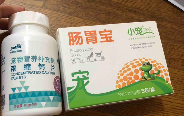 狗狗吃哪种益生菌比较好