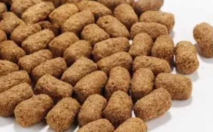 龟的饲料价格
