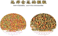 龟粮里面有什么