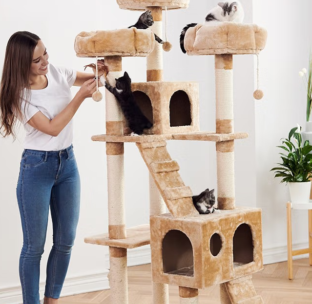 猫爬架什么牌子好用
