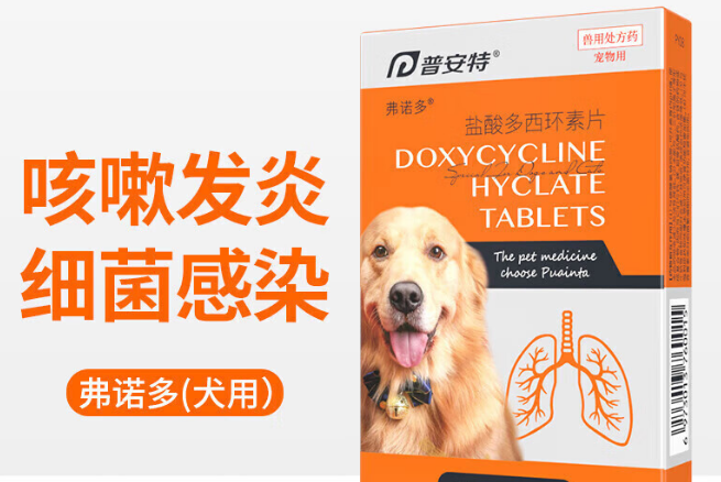 狗狗可以吃的感冒药