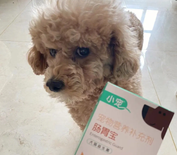 哪个狗狗益生菌比较好? 哪个狗狗益生菌比较好?
