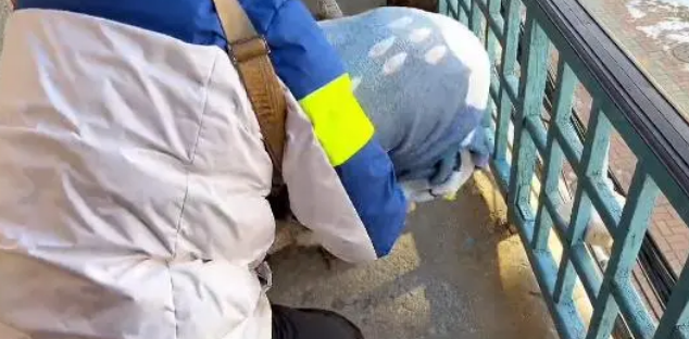 主人离世,狗狗依然守在门口,想要等他回来 主人离世,狗狗依然守在门口,想要等他回来