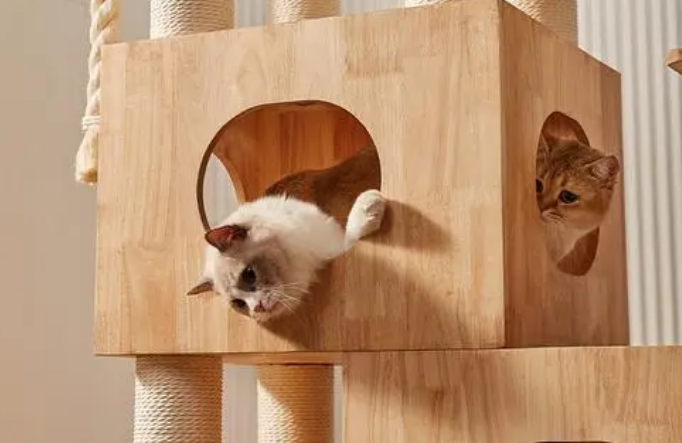 猫爬架怎么清洗 猫爬架怎么清洗
