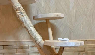 不给猫买猫爬架可以吗?