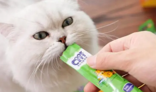猫条多少钱一袋