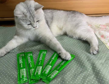 猫多大可以吃猫条