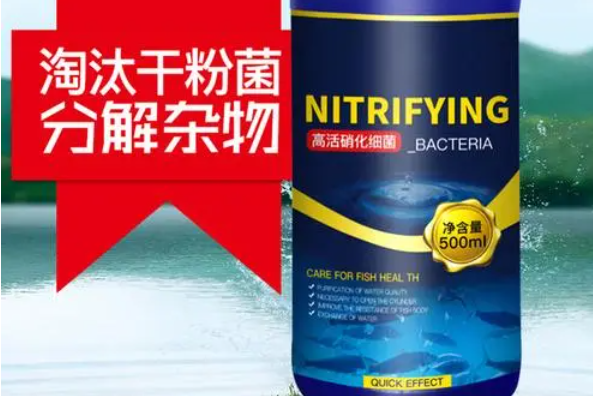 鱼用硝化菌怎么用