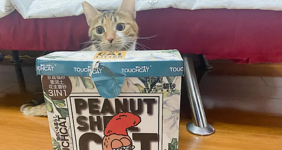 Touchdog它它猫砂性价比怎么样 Touchdog它它猫砂性价比怎么样