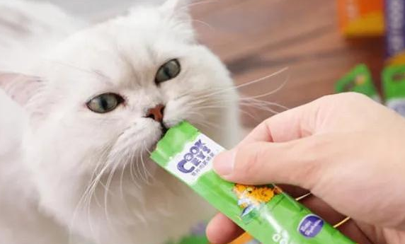 猫一定要吃猫条吗