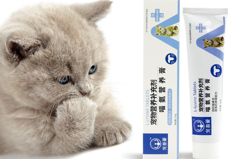 宠物营养膏人可以吃吗