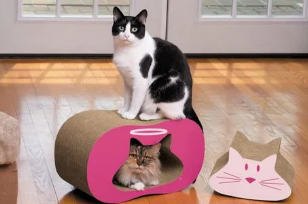 猫抓板怎么放 猫抓板怎么放