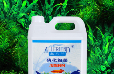 硝化菌可以用什么代替